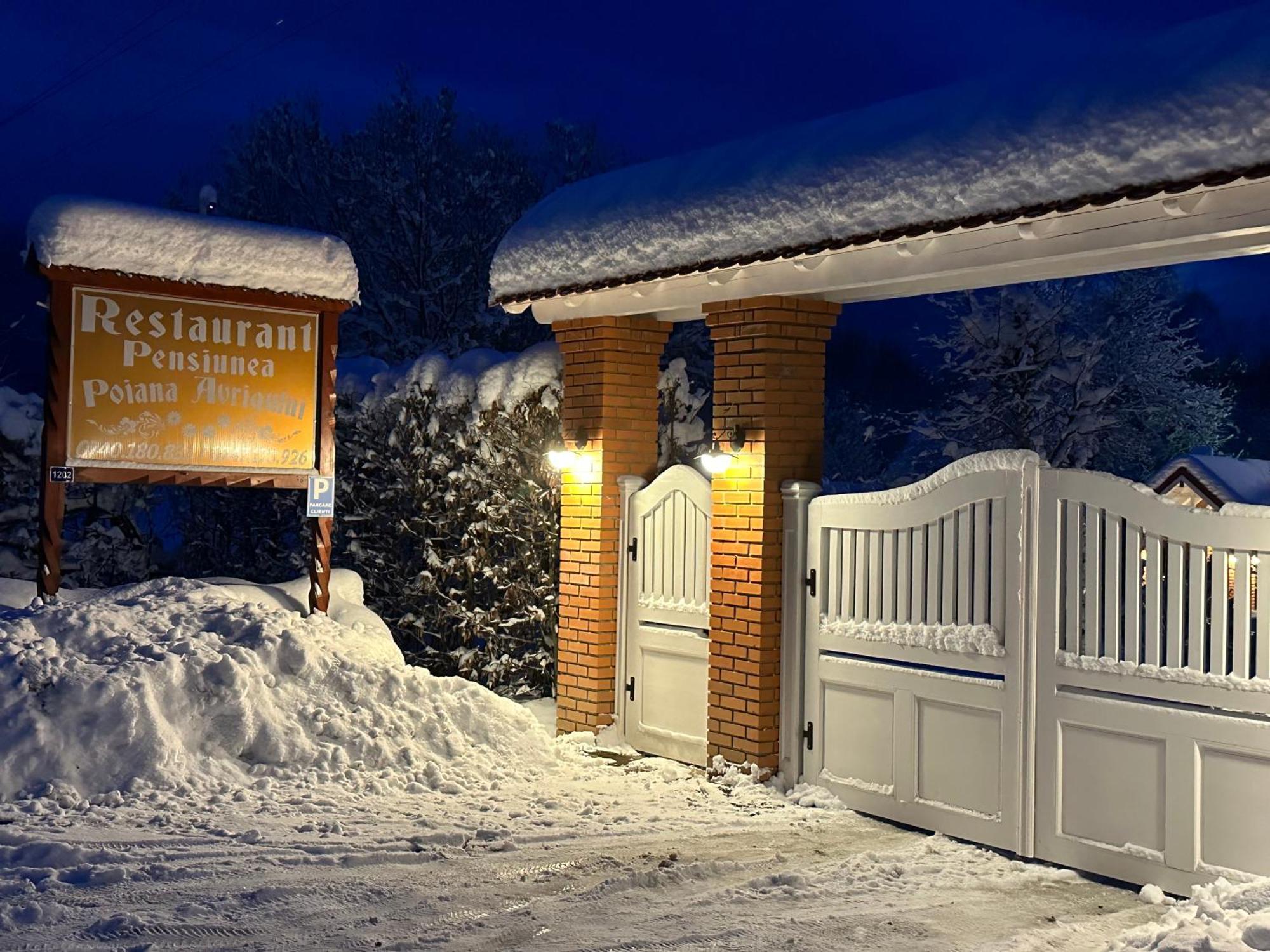 Pensiunea Poiana Avrigului エクステリア 写真